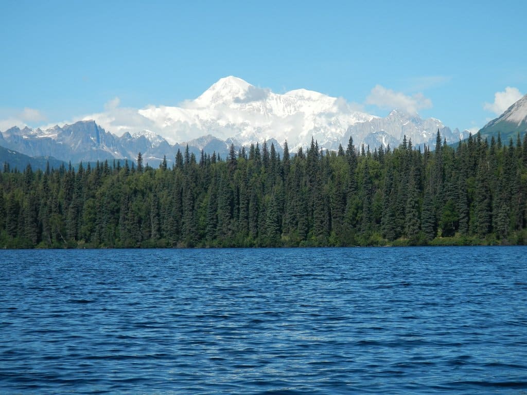 View of Denali from Byers Lake Campground