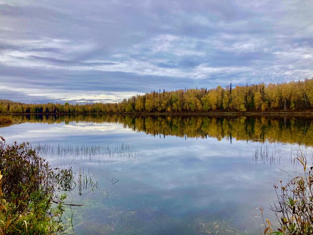 Fishing for Trophy Rainbows at the X and Y Lakes in Talkeetna